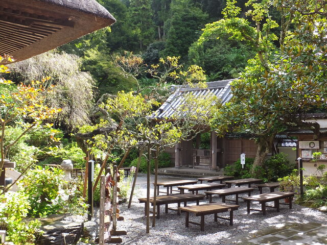 雨あがりでまだ毛氈なしのベンチ_円覚寺佛日庵
