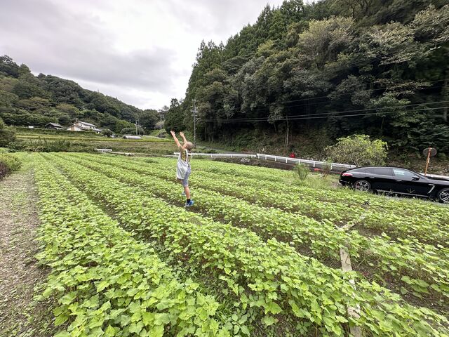 蕎麦畑_そば工房野澤屋