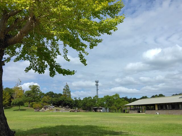 草原と休憩処の風景です。_新庄総合公園