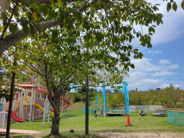 子供向け遊具の一部です。_新庄総合公園