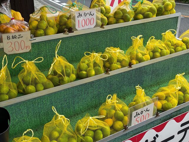 おみやげ用のみかんも売っています。_マルフクガーデン