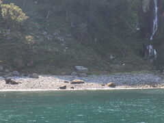 うつあつさんの知床観光船おーろらへの投稿写真1