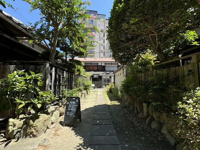 緑も多くて気持ちいい_菁菁苑