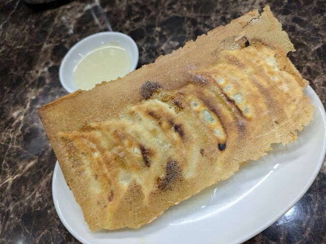 羽根付き餃子_めんめん