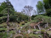 のん☆さんの積翠寺の投稿写真1