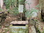 のん☆さんの積翠寺の投稿写真2