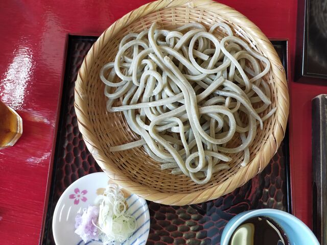 食べ応えある田舎蕎麦_蕎遊庵