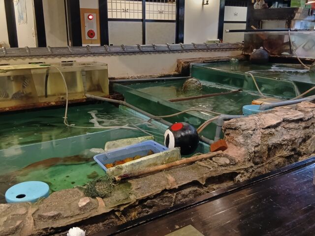 生簀_天草地魚料理 いけすやまもと