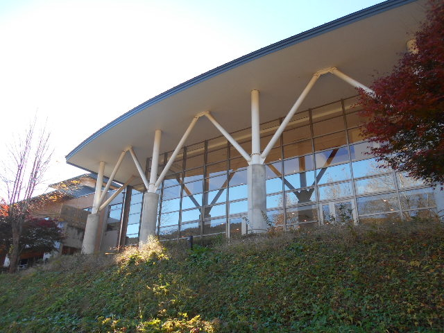 天然温泉 峠の湯