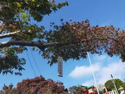 あきぼうさんの蕎遊庵の投稿写真5