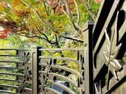Moni14さんの紅葉山公園の投稿写真2