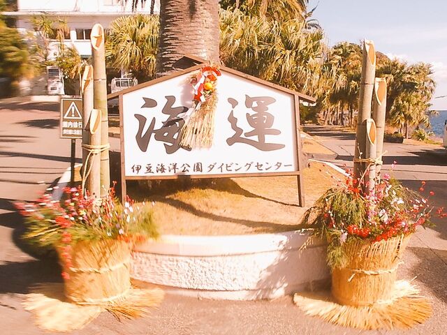 伊豆海洋公園内もお正月の雰囲気_マリンハウス レイアロハ