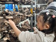 ななんさんのアライ*キノコの投稿写真2