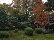 Duffyさんの天得院の投稿写真3