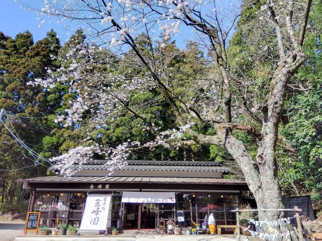 奈曽の白滝の神社内にある金峰園です。奈曽の白滝をみた後によりました。_鳥海山&奈曽の白滝