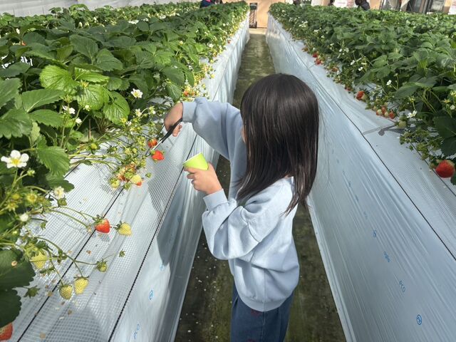 子供たちも大喜び☆!!_ハッピー農園