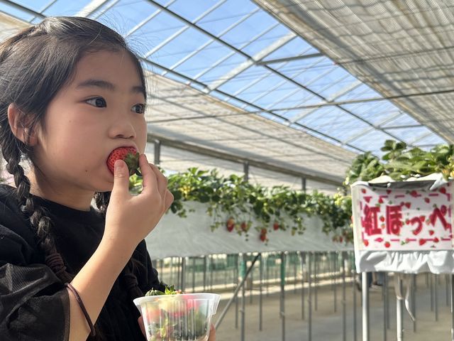 甘ーい!_いちご園大樹