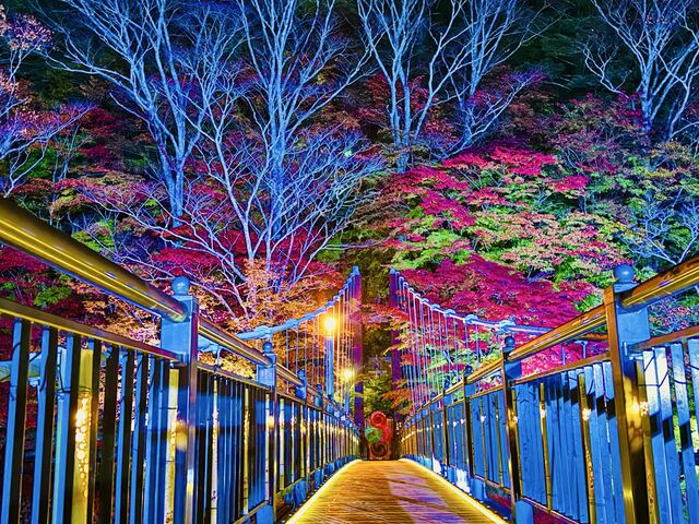 紅の吊橋
秋には紅葉とライトアップが綺麗です。_紅の吊橋