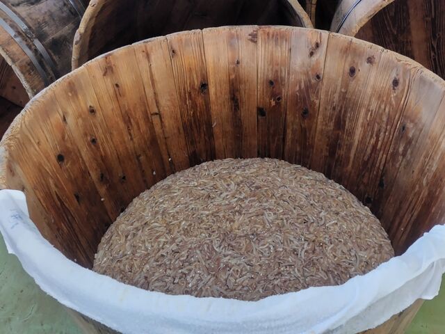 これからこの樽で1週間発酵_小田島水産食品株式会社 工場直売店