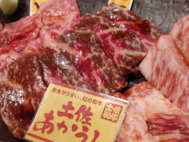 土佐あかうし_焼肉 牛力丸