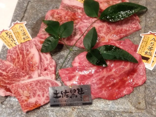 土佐黒牛_焼肉 牛力丸