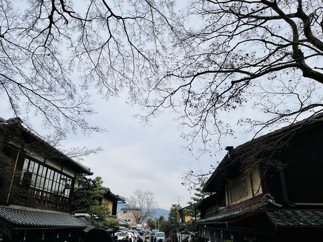 今宮神社の東門に2軒並んであぶり餅のお店があります
_かざりや