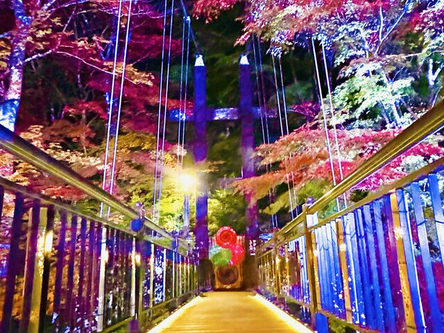紅の吊橋
紅葉とライトアップ_紅の吊橋