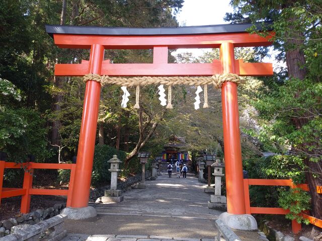 静謐な雰囲気の境内。_大田神社
