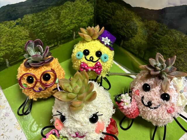 個性あふれるモスペット_ハズキモスペット