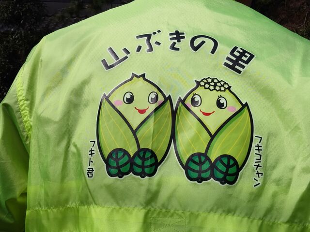 スタッフさんのウィンドブレーカーの背中には山蕗のキャラクターが。_ミツマタ(市志ミツマタの群生地)