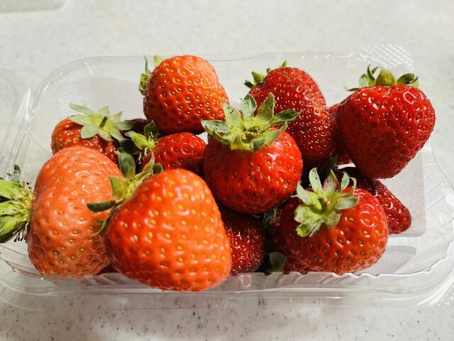 さすが甘くて美味しかった_苺屋 ガルテンベーレン