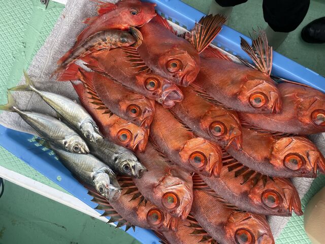 たくさん釣れました!釣ったことがない魚も釣れて子供もすごい喜んでいました!_雅裕丸