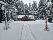60代のスノーボードおじさんさんの八海神社杉並木の投稿写真4