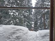 60代のスノーボードおじさんさんの八海神社杉並木の投稿写真5