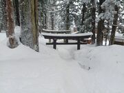 60代のスノーボードおじさんさんの八海神社杉並木の投稿写真6