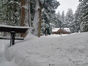 60代のスノーボードおじさんさんの八海神社の投稿写真3