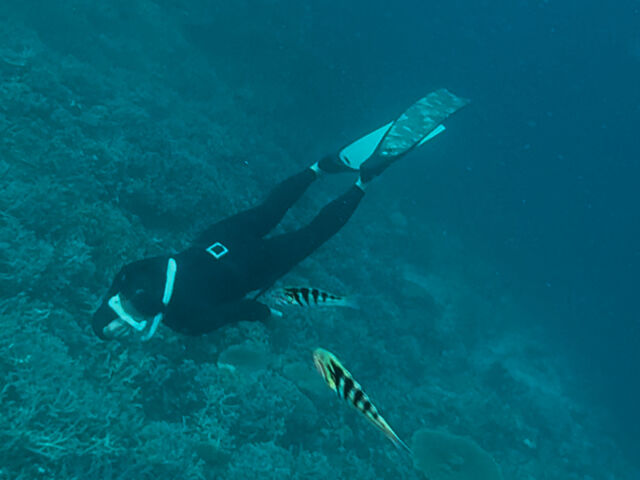 お魚も寄ってきてる♪_Saltwater social club