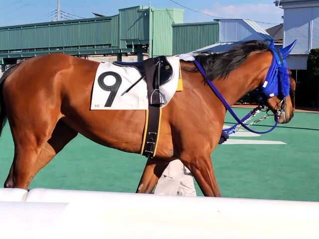 寒くても頑張ります_浦和競馬場