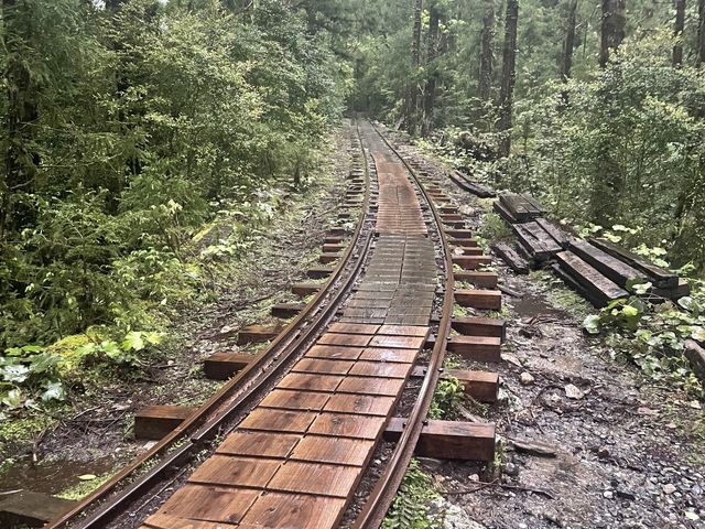 眠気との闘いだったトロッコ道_Yamakara屋久島