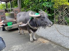 ビオスの丘の写真1