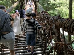 祖谷のかずら橋の写真1