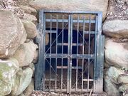 miさんの沼山古墳の投稿写真4
