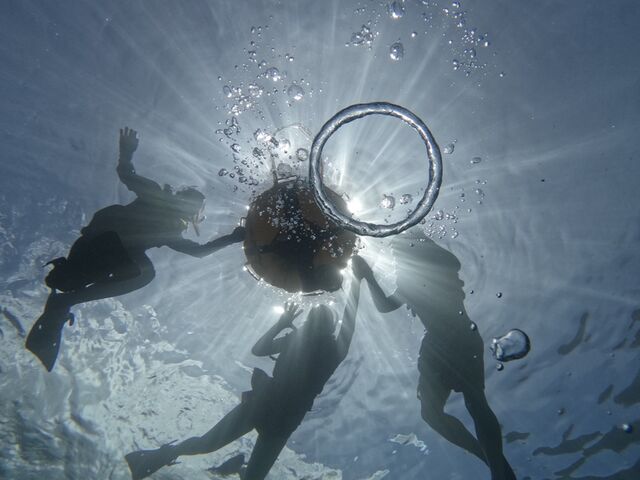 終始ガイドの方が動画、写真を撮ってくれるので
綺麗な景色の撮り漏らしがありません!_DIVE IN CHATAN