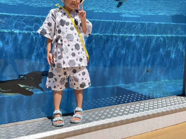 ペンギンの水槽で孫!_四国水族館