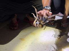 まいちゃんさんのOCEAN LIFEへの投稿写真1