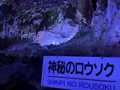 飛騨大鍾乳洞&大橋コレクション館の写真1