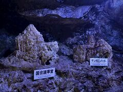 飛騨大鍾乳洞&大橋コレクション館の写真2