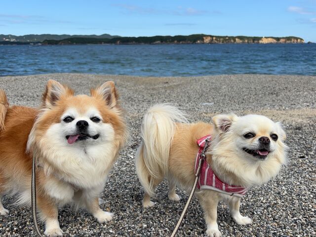 お散歩したよ_浦ノ浜