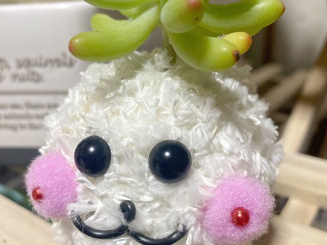 うちの可愛いペットです!_那須-omo-
