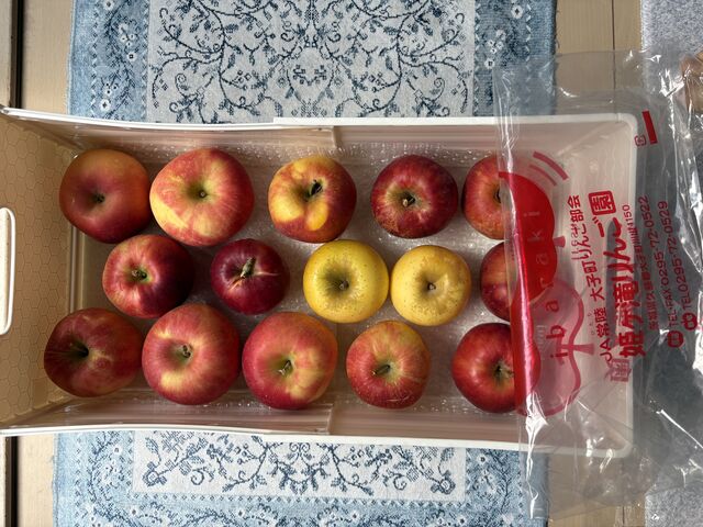 りんご狩りした半分です。_姫ヶ滝りんご園